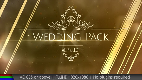 Wedding Pack - Download Videohive 20038431