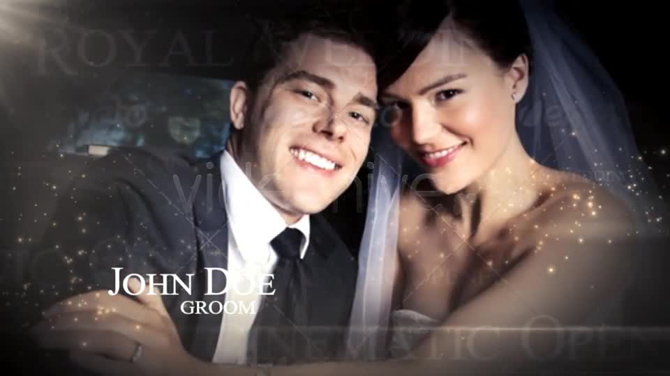 Wedding Pack - Download Videohive 2418234