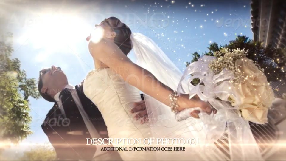 Wedding Pack - Download Videohive 2418234