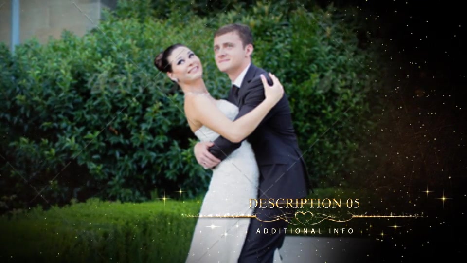 Wedding Pack II - Download Videohive 8129691