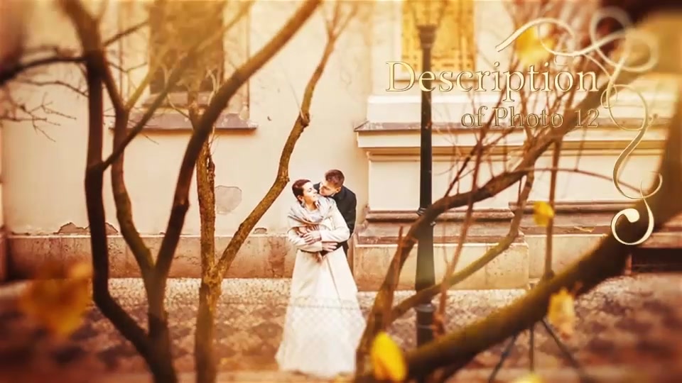 Wedding Pack Lovely Memories - Download Videohive 10243701