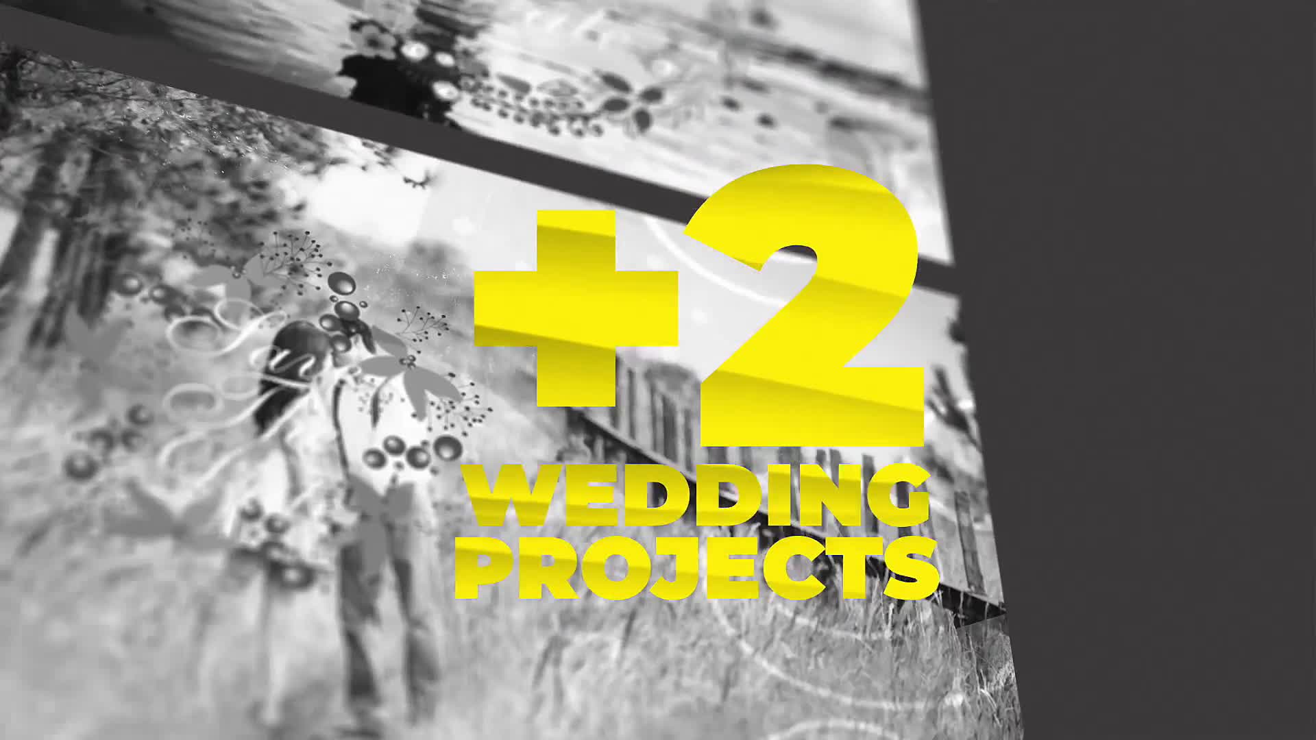 Wedding Pack Videohive 23823028 After Effects Image 1