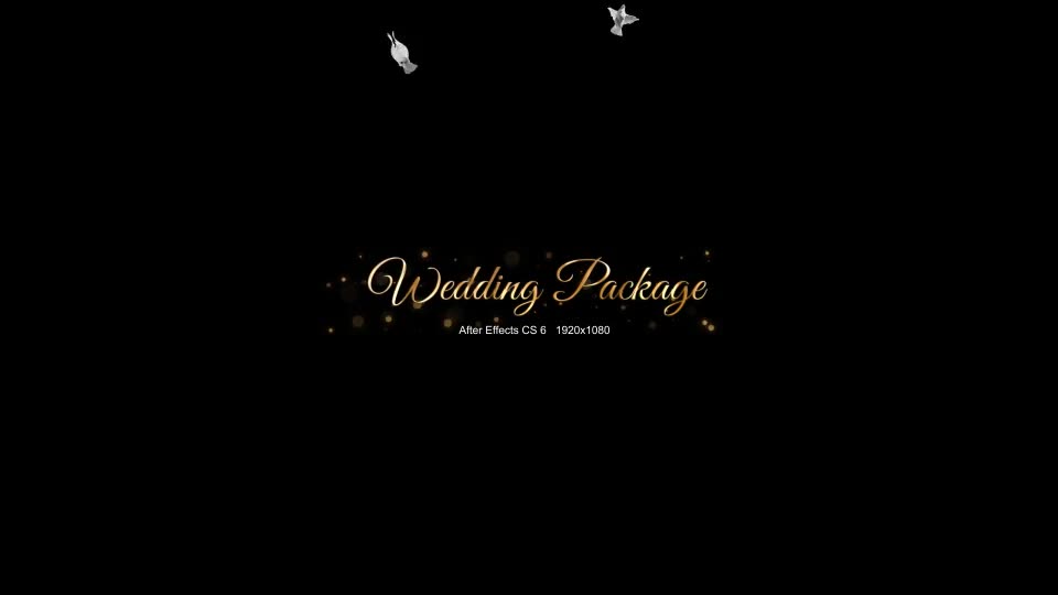 Wedding Package - Download Videohive 18844092