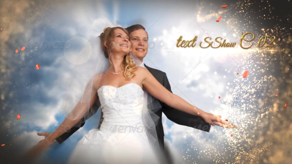 Wedding Package - Download Videohive 18844092