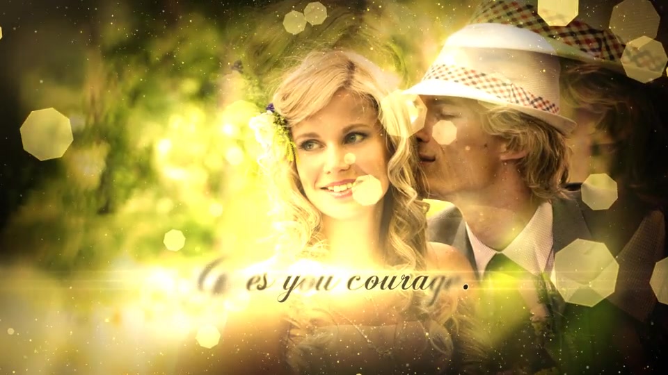 Wedding Particles Opener - Download Videohive 14728826