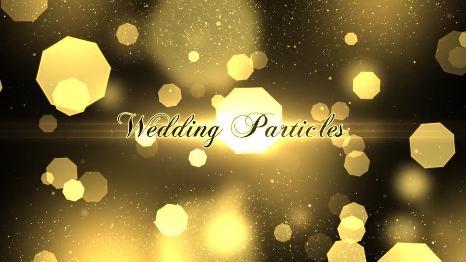 Wedding Particles Opener - Download Videohive 14728826