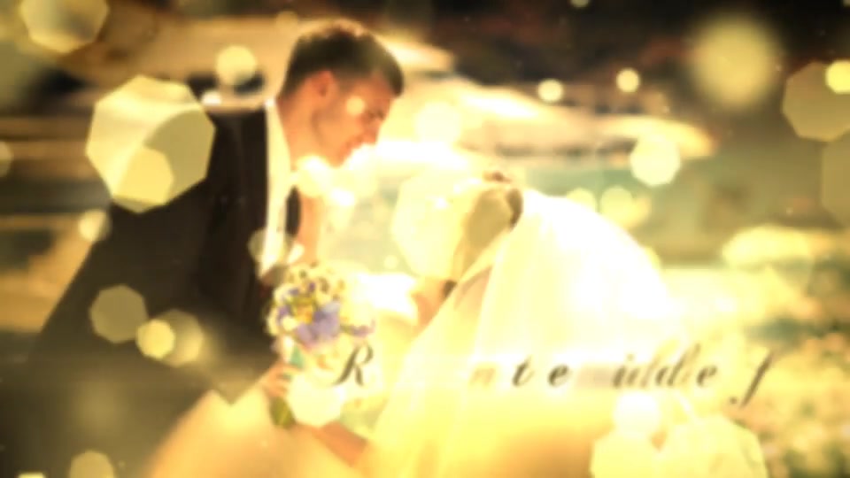 Wedding Particles Opener - Download Videohive 14728826