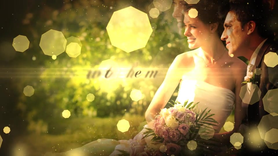 Wedding Particles Opener - Download Videohive 14728826