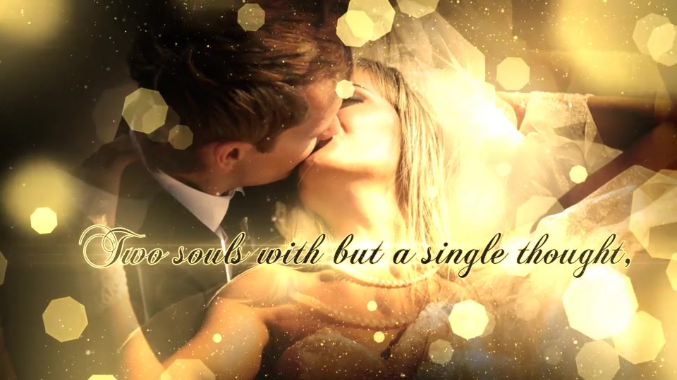 Wedding Particles Opener - Download Videohive 14728826