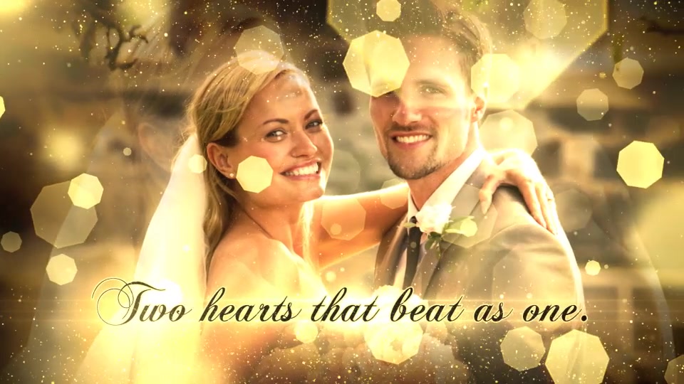 Wedding Particles Opener - Download Videohive 14728826