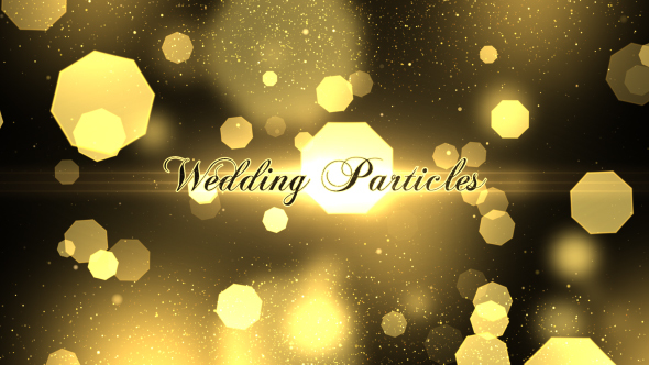 Wedding Particles Opener - Download Videohive 14728826