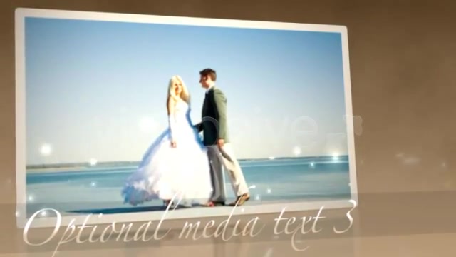 Wedding Particles Words - Download Videohive 139827