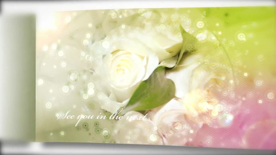 Wedding Photo Album And Slideshow II - Download Videohive 1042762