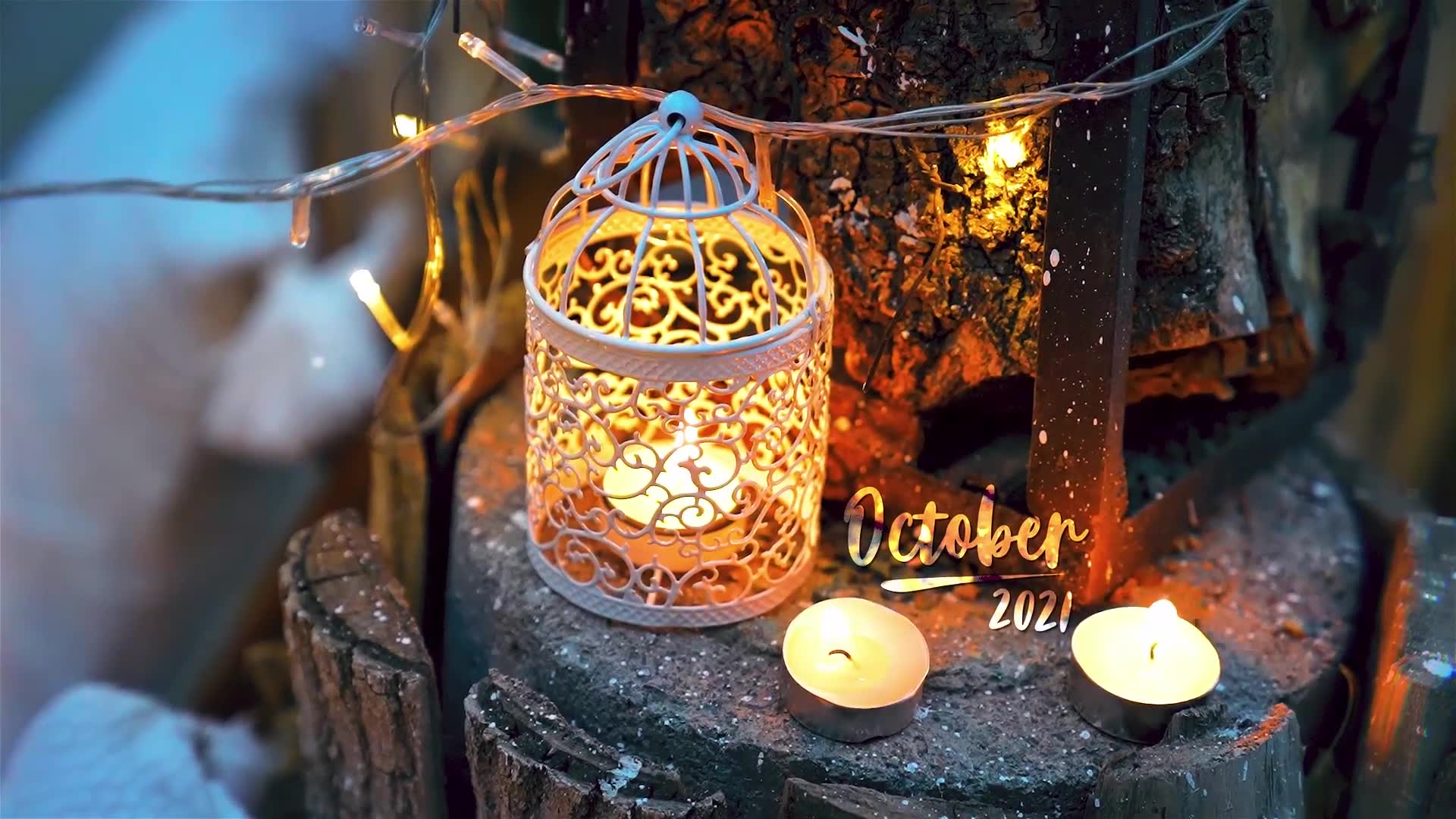 Wedding Photo Gallery Autumn Night Garden Videohive 34629956 After Effects Image 2