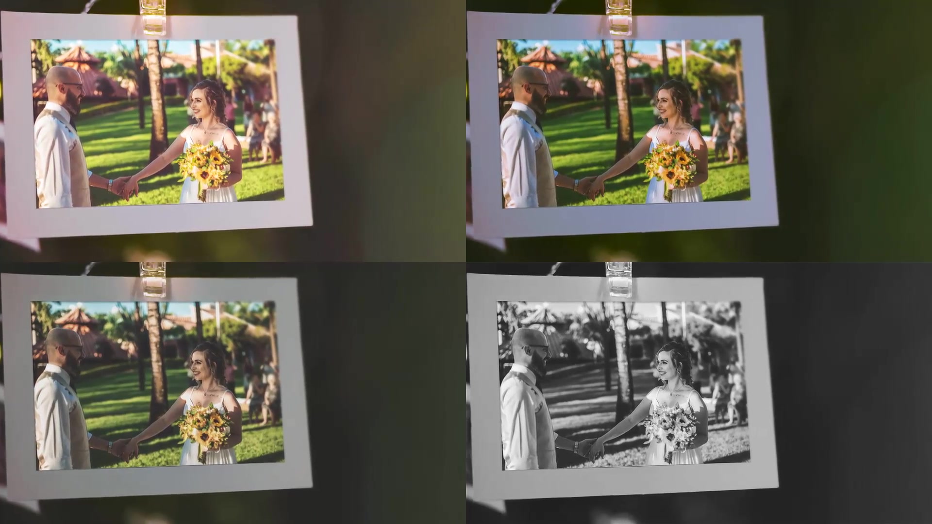 Wedding Photo Gallery Videohive 31425578 After Effects Image 10