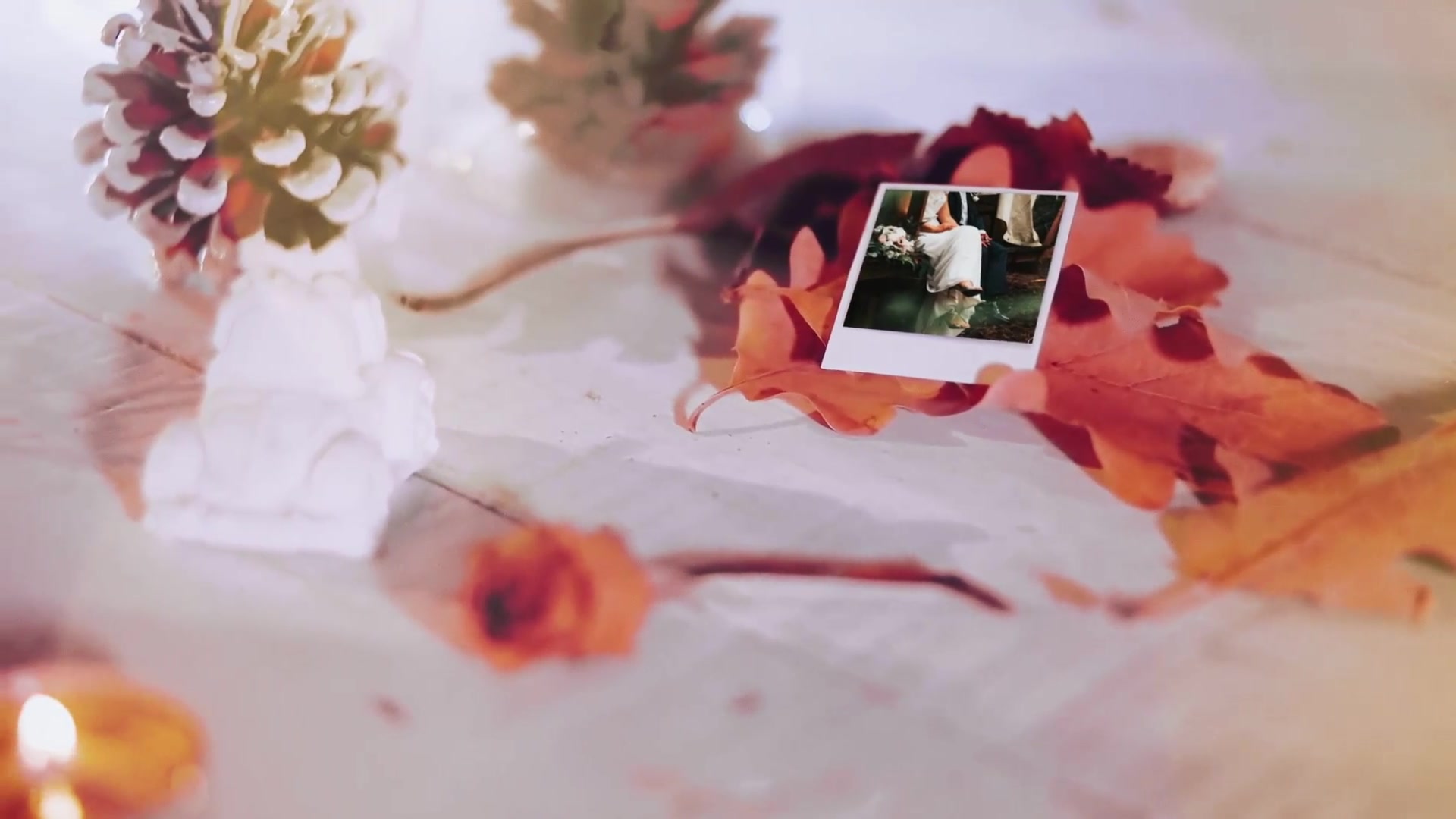 Wedding Photo Gallery Videohive 31425578 After Effects Image 5