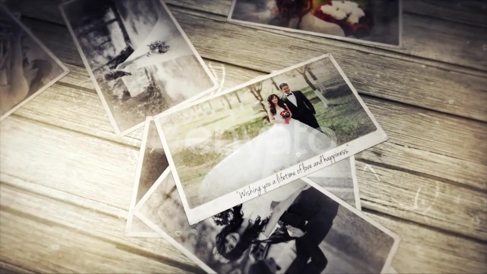 Wedding Photo Gallery - Download Videohive 21773255