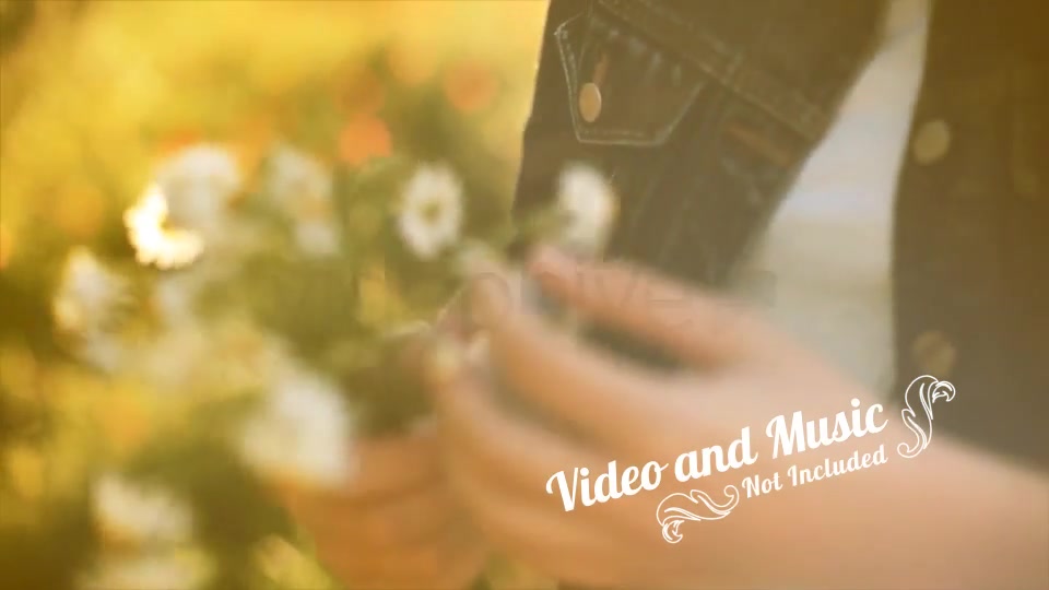 Wedding Photo Gallery - Download Videohive 6118047