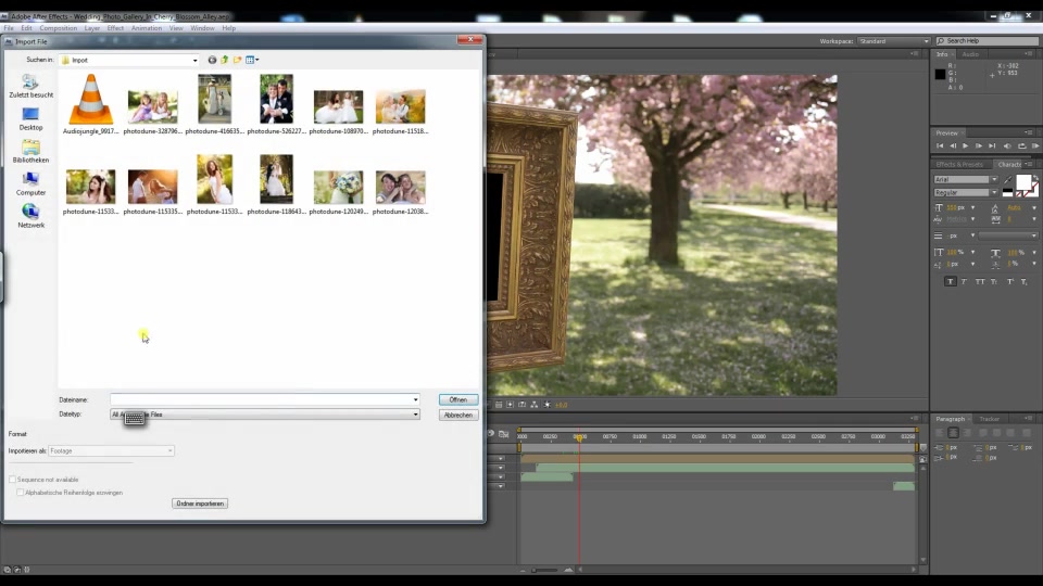 Wedding Photo Gallery in a Cherry Blossom Alley Videohive 12720047 After Effects Image 12