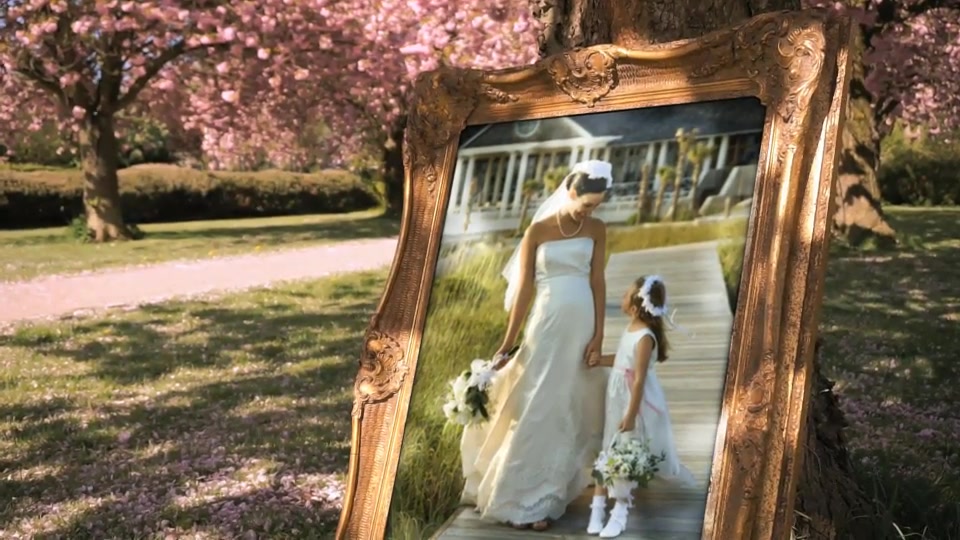 Wedding Photo Gallery in a Cherry Blossom Alley Videohive 12720047 After Effects Image 4
