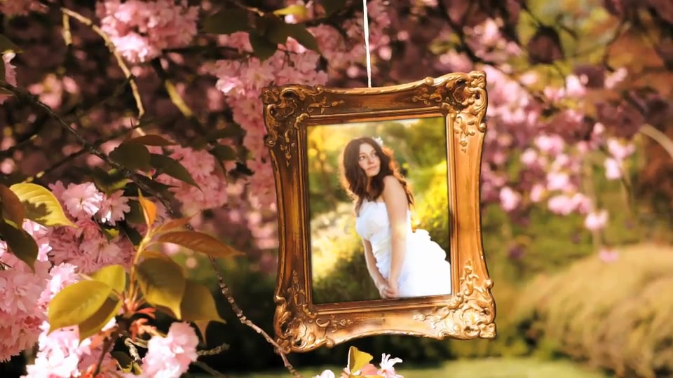 Wedding Photo Gallery in a Cherry Blossom Alley Videohive 12720047 After Effects Image 7