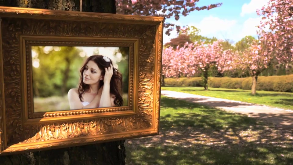 Wedding Photo Gallery in a Cherry Blossom Alley Videohive 12720047 After Effects Image 8