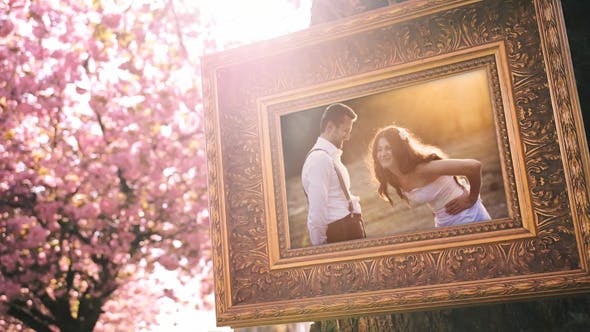 Wedding Photo Gallery in a Cherry Blossom Alley - 12720047 Download Videohive