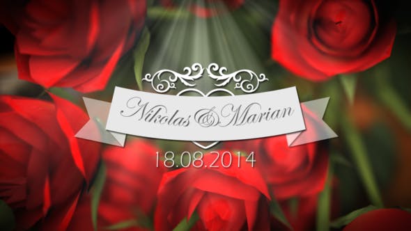 Wedding Photo Gallery - Videohive Download 8654467