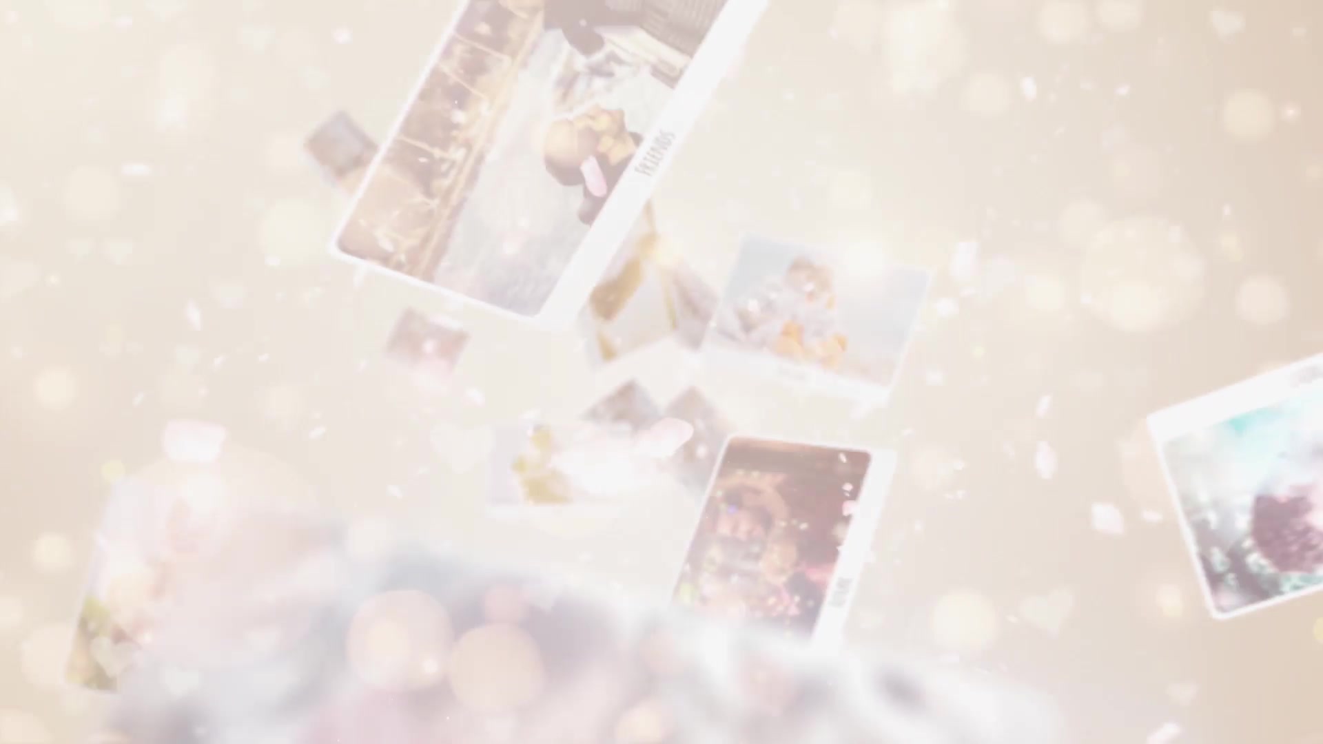 Wedding Photo Story Videohive 23795335 After Effects Image 2