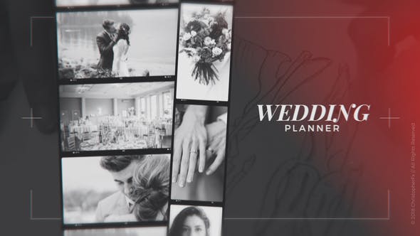 Wedding Planner - Download Videohive 22866413