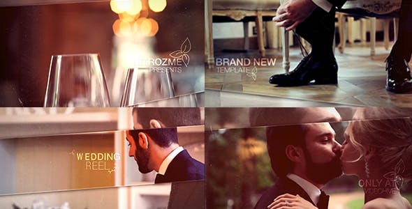 Wedding Production - Download 13099399 Videohive