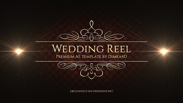 Wedding Reel - Download Videohive 11612530