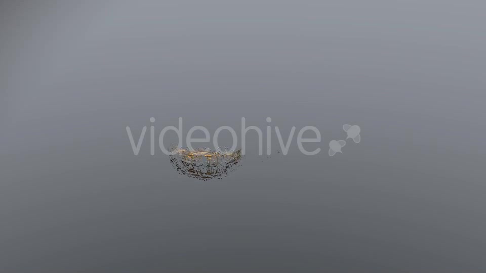 Wedding Rings Background - Download Videohive 19877248