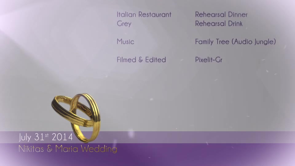 Wedding Rings - Download Videohive 8521863