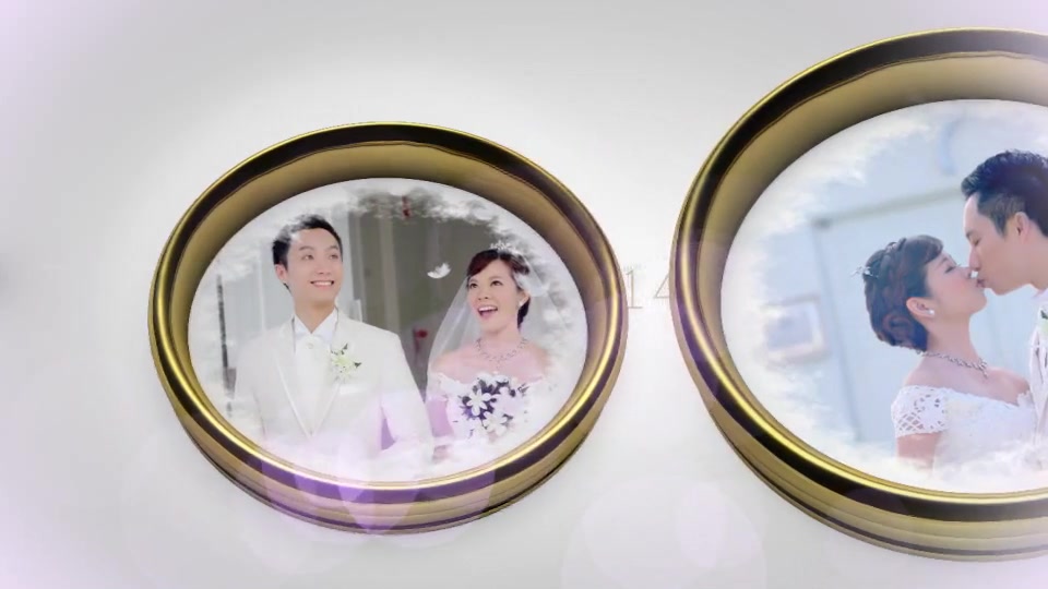 Wedding Rings - Download Videohive 8521863