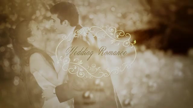 Wedding Romance Videohive 10756363 After Effects Image 13
