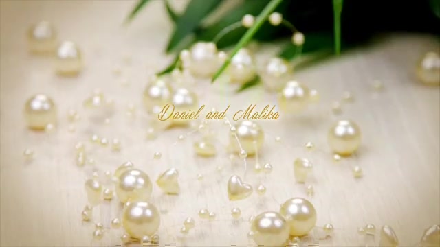 Wedding Romance Videohive 10756363 After Effects Image 3