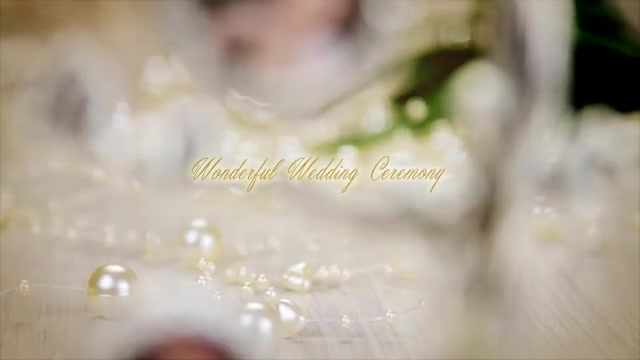 Wedding Romance Videohive 10756363 After Effects Image 4
