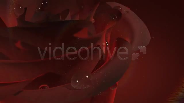 Wedding Rose - Download Videohive 4351024