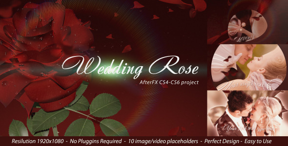 Wedding Rose - Download Videohive 4351024