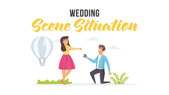 Wedding Scene Situation - Download 27608368 Videohive