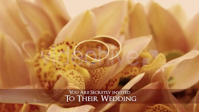 Wedding Secrets - Download Videohive 2324864