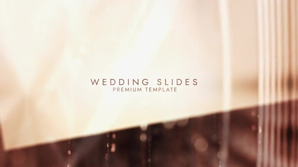Wedding Slides Videohive 24358167 After Effects Image 11