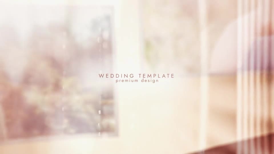 Wedding Slides Videohive 24358167 After Effects Image 2