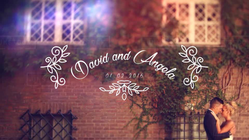 Wedding Slideshow - Download Videohive 14635491