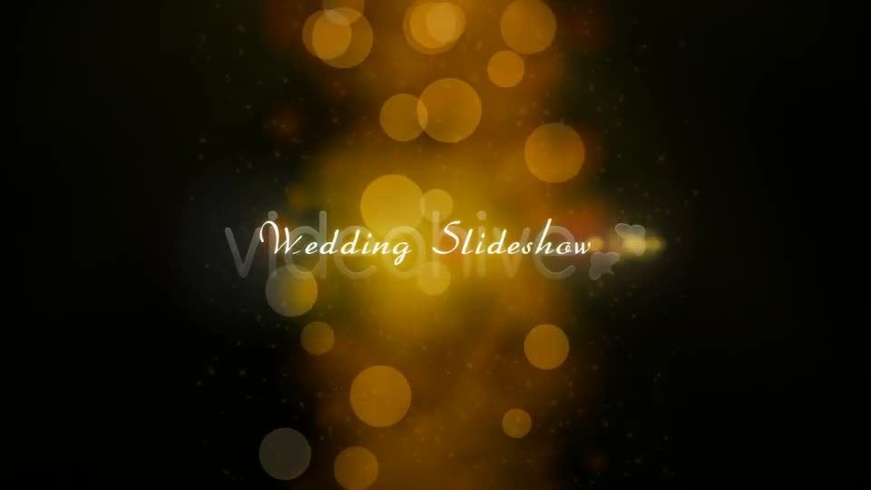 Wedding slideshow Videohive 2299429 After Effects Image 1