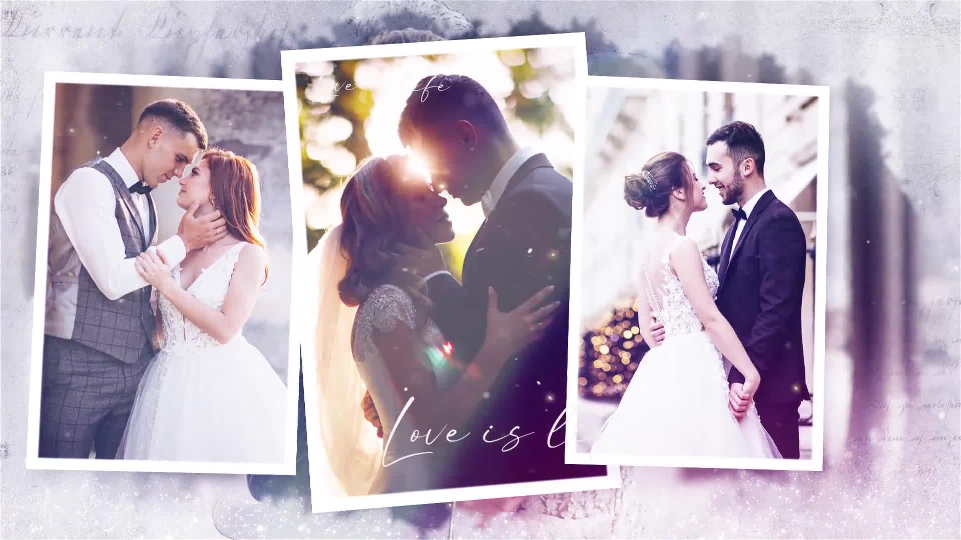 Wedding Slideshow Videohive 35974032 After Effects Image 10