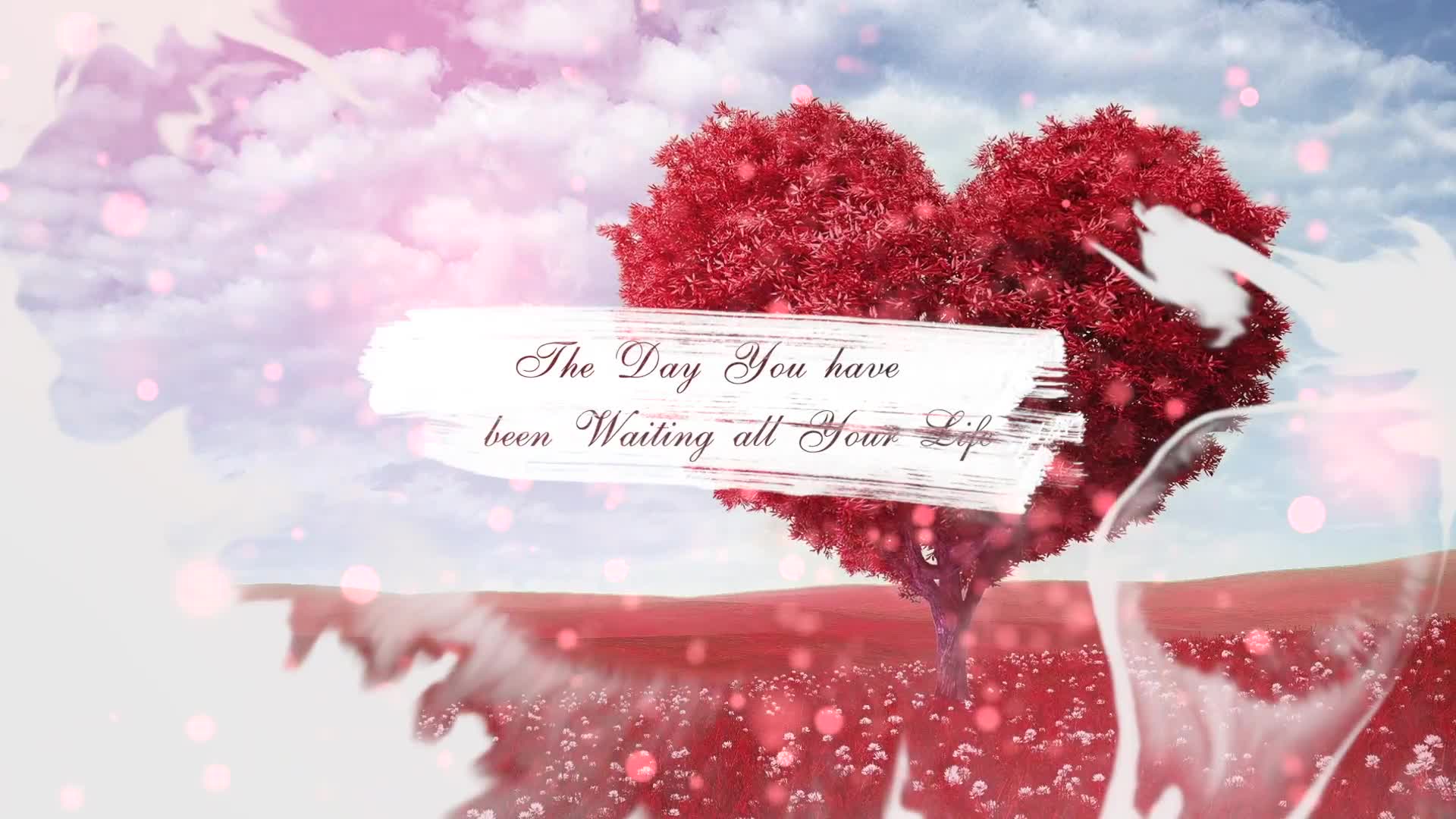 Wedding Slideshow || FCPX or Apple Motion Videohive 23726725 Apple Motion Image 1