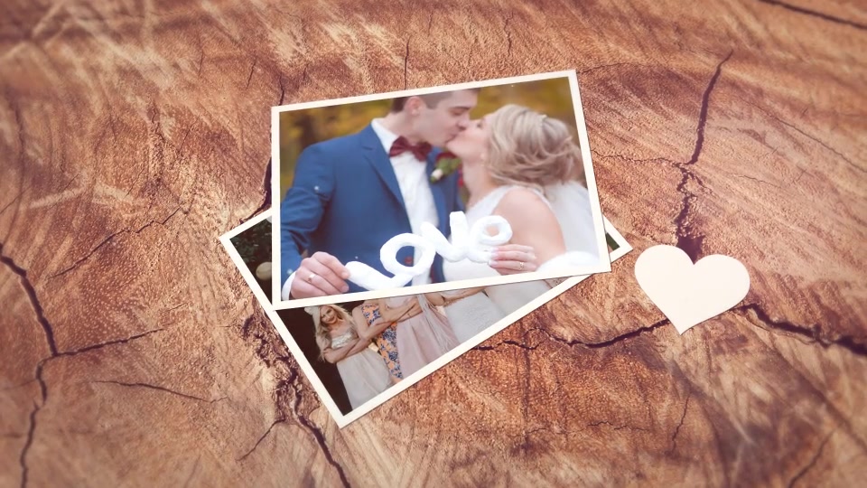 Wedding Slideshow Videohive 21091759 After Effects Image 11
