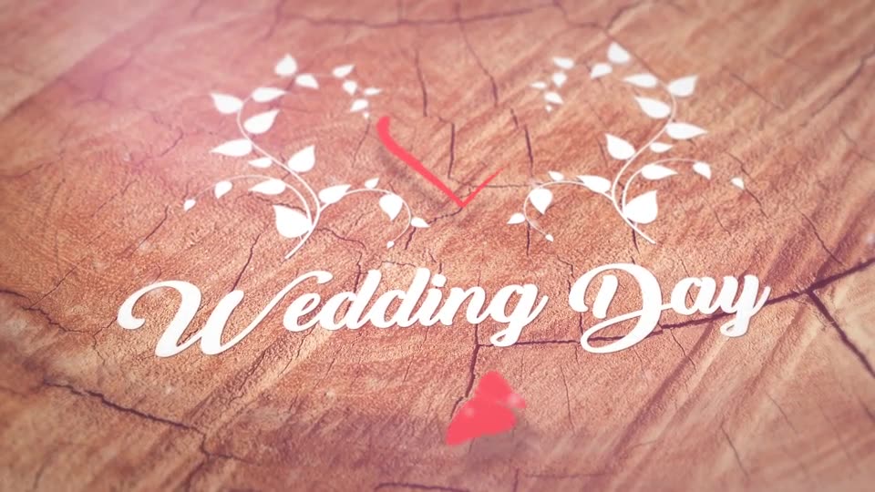 Wedding Slideshow Videohive 21091759 After Effects Image 2